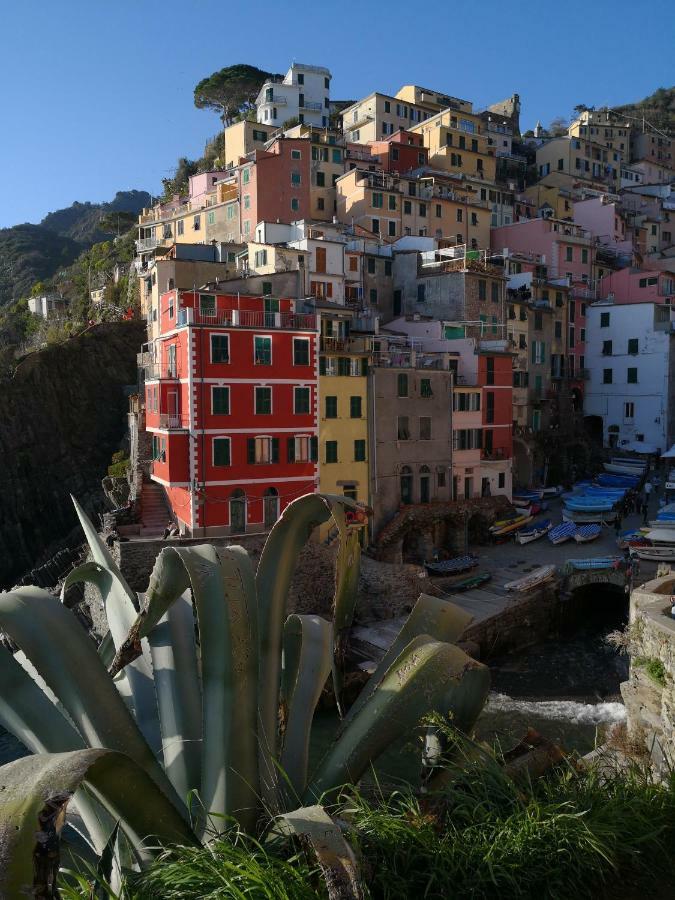 Il Giardino Di Riomaggiore Suite Exterior foto